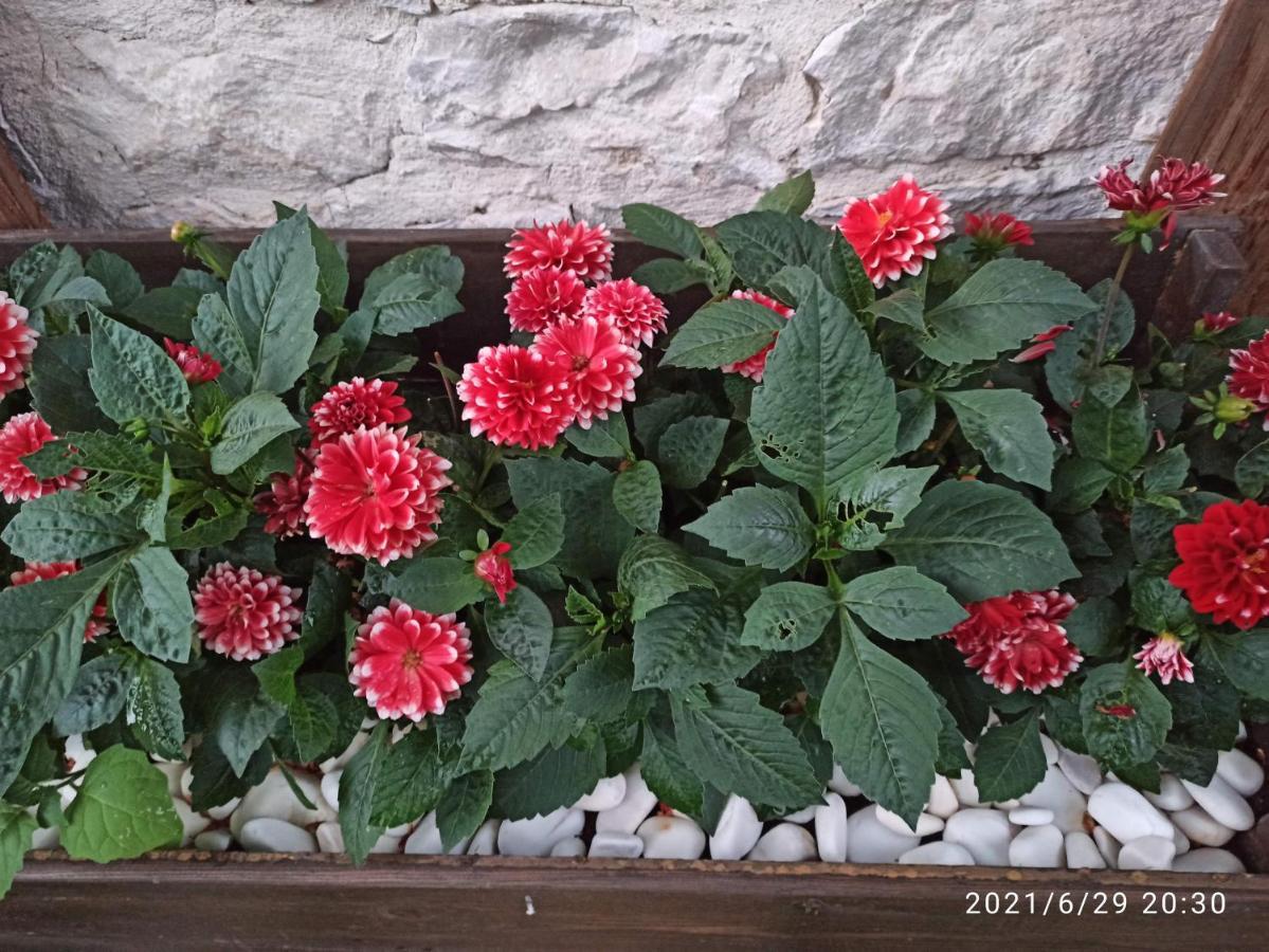 Bed and Breakfast Konak Bindalli Karabuk  Exterior foto