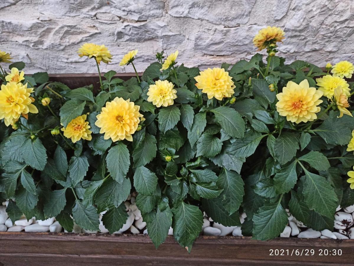 Bed and Breakfast Konak Bindalli Karabuk  Exterior foto
